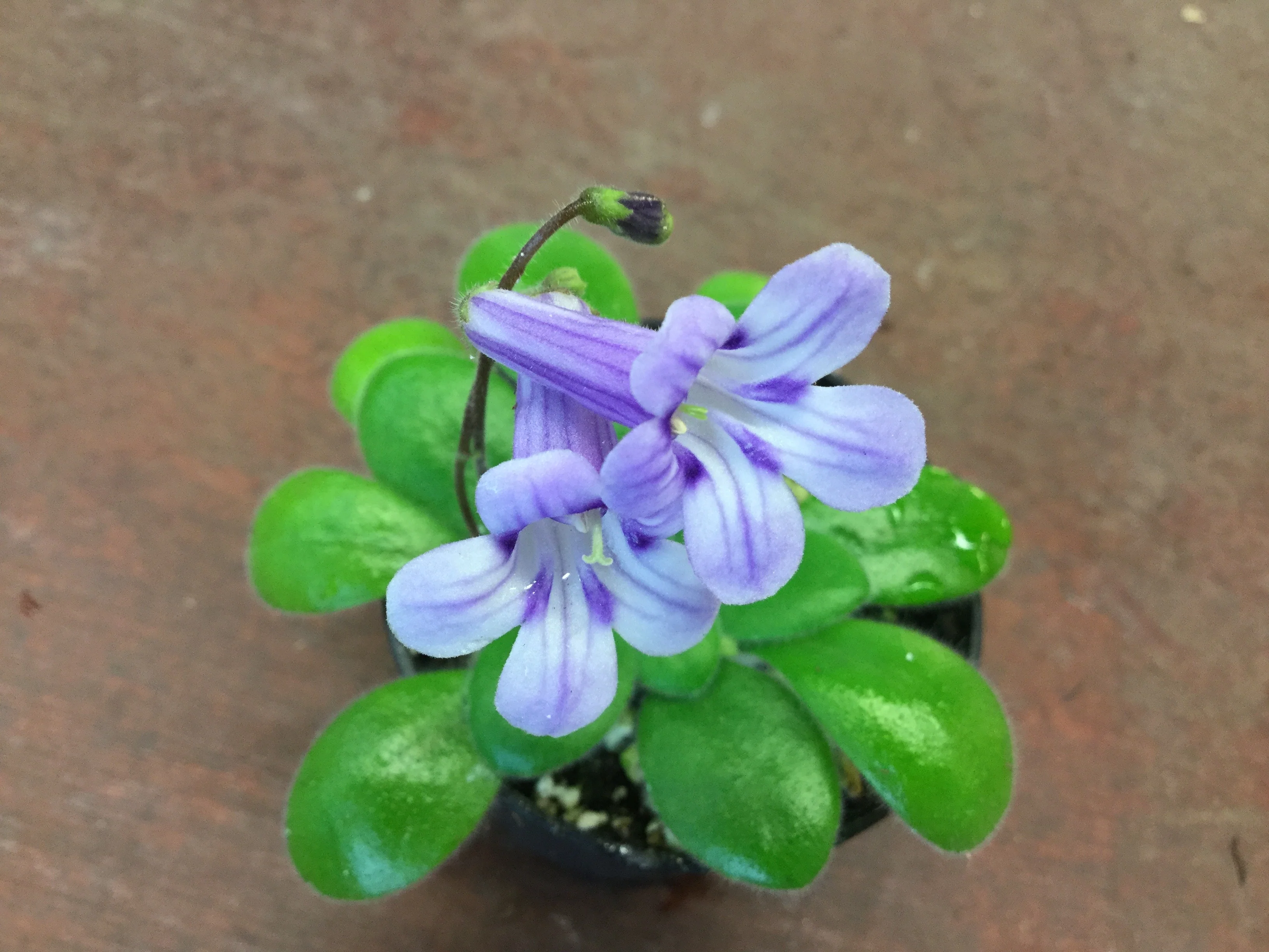 Thumbnail 13